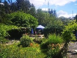 Minigolfklause